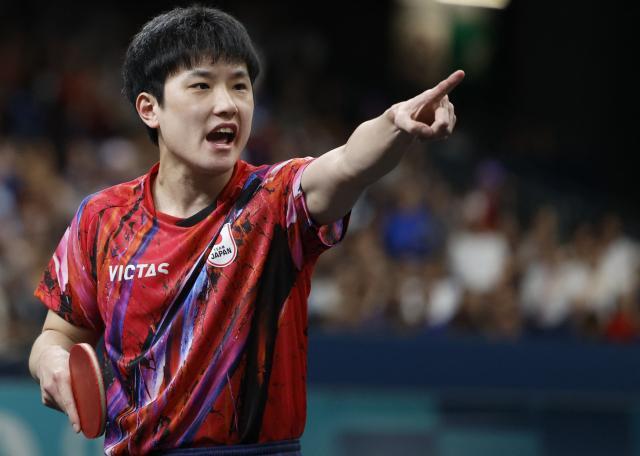 1759160809001024673.jpg 张本智和.jpg